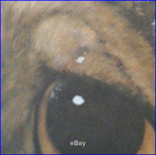 Big puppy eyes margaret keane mid century art GIA VINTAGE, retro, big eye