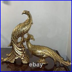 Golden Peacock Syroco