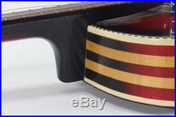 Vintage German PANaramic Arch Top Hollow Body Acoustic Electric Guitar